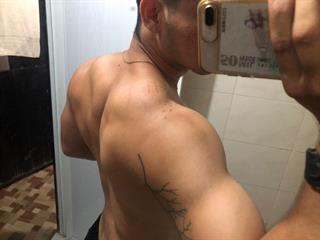 ANDRES STUD