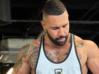 Andresburdes