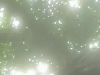 arnethperez1994
