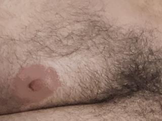 bearxchaser