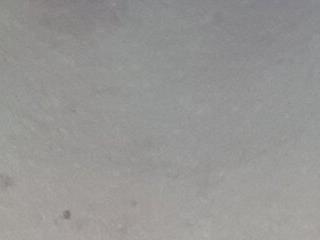 casalexibicao23