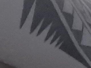 charlyporno22