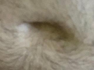 elogordo 