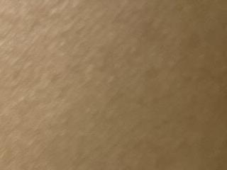 kingcock010