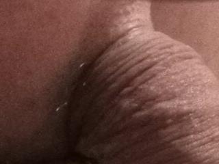leccaleccafiga