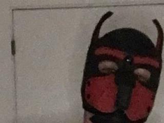 Maskpor2022