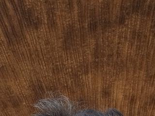 sexodoll1990