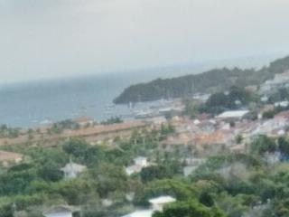 Striignado