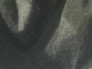 ta ku16